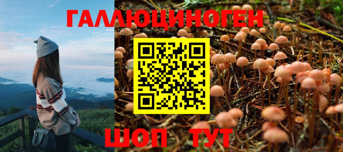 Галлюциногенные грибы мухоморы  Галлюциногенные грибы MAGIC MUSHROOMS  Сорочинск  Вход с VPN 